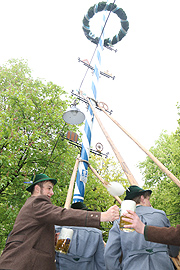 Maibaum aufstellen im Augustiner Keller am 01.05.2016